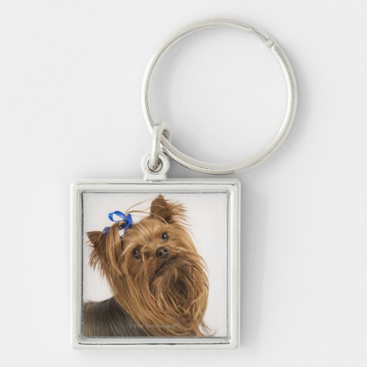 Yorkshire Terrier / Yorkie. Levend ras van Sleutelhanger (Voorkant)