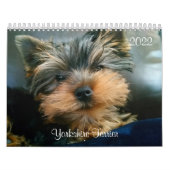 Yorkshire Terrier Yorkies 2022 Agenda Kalender (Hoes)