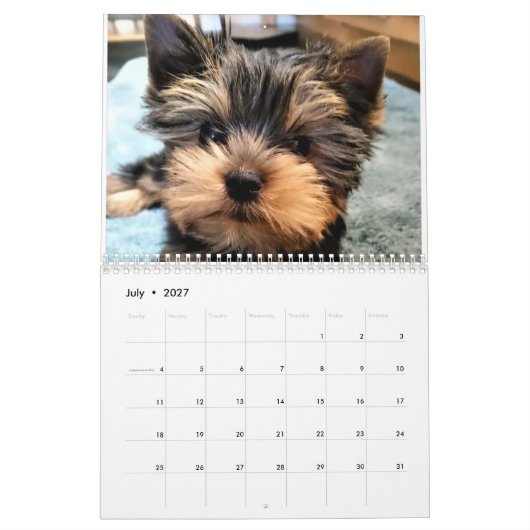Yorkshire Terrier Yorkies 2022 Agenda Kalender (Jul 2027)