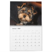 Yorkshire Terrier Yorkies 2022 Agenda Kalender (Jan 2027)