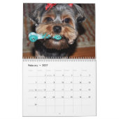 Yorkshire Terrier Yorkies 2022 Agenda Kalender (Feb 2027)