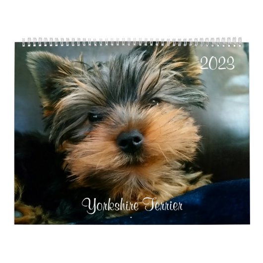 Yorkshire Terrier Yorkies 2023 Agenda Kalender (Hoes)