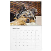 Yorkshire Terrier Yorkies 2023 Agenda Kalender (Mar 2027)
