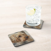 Yorkshire Terrier Zac Bier Onderzetter (Rechterzijde)