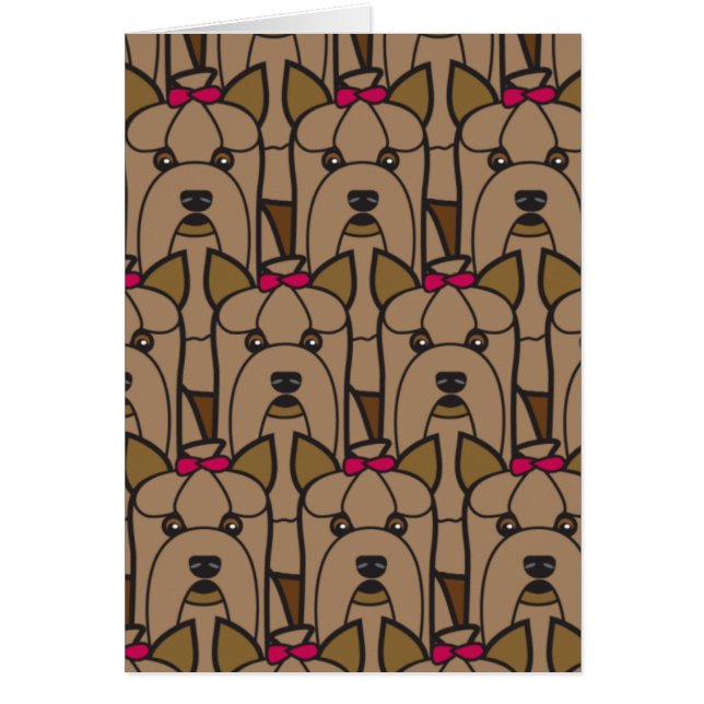 Yorkshire Terriers (Voorkant)