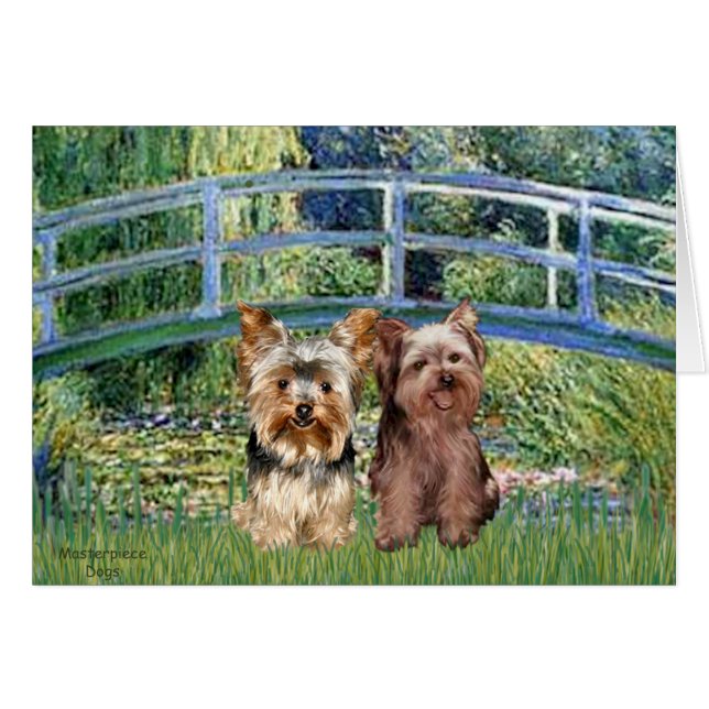 Yorkshire Terriers (17-18) - Brug (Voorkant Horizontaal)