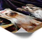 Yorkshire Terriers (7) - Moeder van Whistler Poster (Hoek)
