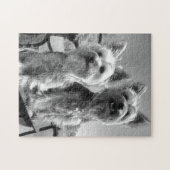 Yorkshire Terriers, Black en White, Legpuzzel (Horizontaal)