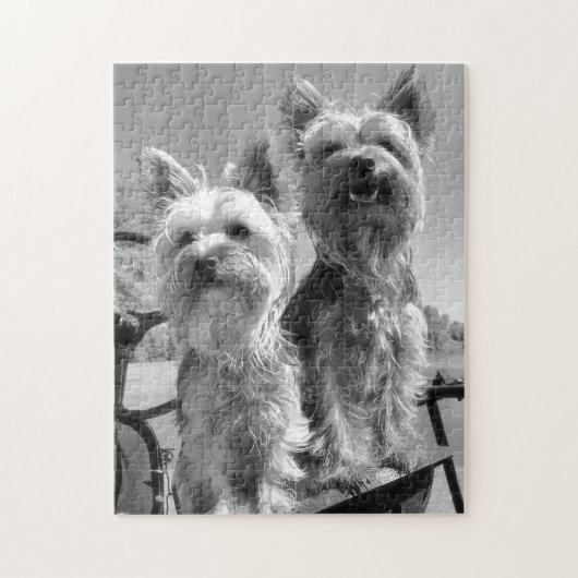 Yorkshire Terriers, Black en White, Legpuzzel (Verticaal)
