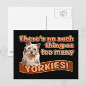 YORKSHIRE TERRIERS BRIEFKAART (Voorkant / Achterkant)