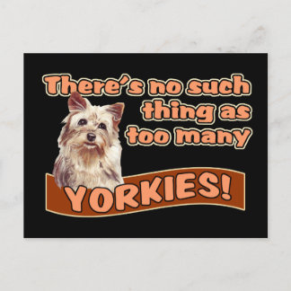 YORKSHIRE TERRIERS BRIEFKAART