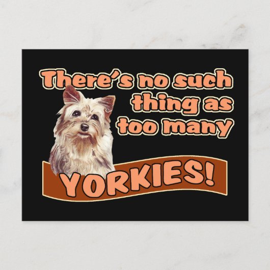 YORKSHIRE TERRIERS BRIEFKAART (Voorkant)