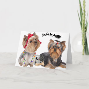 Yorkshire Terriers geloven in Santa Cards Feestdagen Kaart