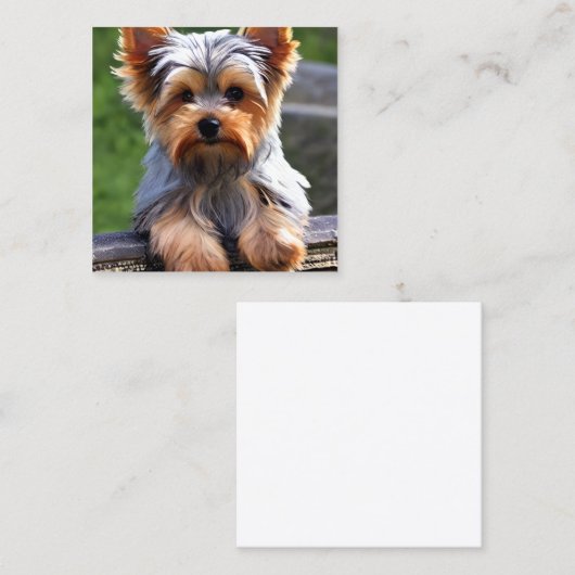 Yorkshire Terriers, of "Yorkkies" als 'Affec' Vierkante Visitekaartje (Voorkant / Achterkant)