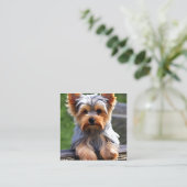 Yorkshire Terriers, of "Yorkkies" als 'Affec' Vierkante Visitekaartje (Staand voorkant)