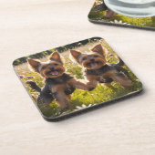 Yorkshire Terriers spelen in het gras Bier Onderzetter (Linkerzijde)