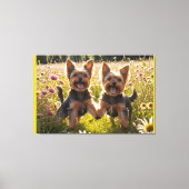 Yorkshire Terriers spelen in het gras Canvas Afdruk (Voorkant)