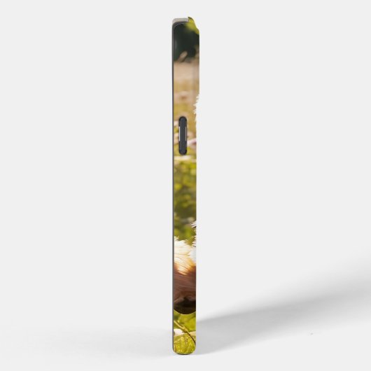 Yorkshire Terriers spelen in het gras Case-Mate iPhone Case (Achterkant / Rechts)