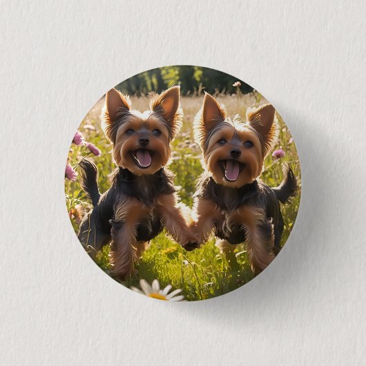 Yorkshire Terriers spelen in het gras Ronde Button 3,2 Cm (Voorkant)