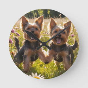 Yorkshire Terriers spelen in het gras Ronde Klok