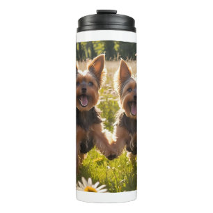 Yorkshire Terriers spelen in het gras Thermosbeker