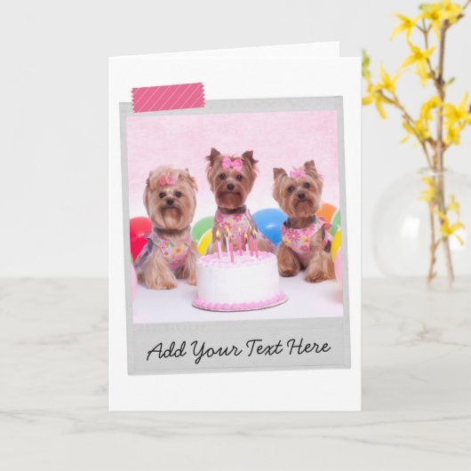Yorkshire Terriers Yorkies Birthday Cake Funny Kaart (Gele Bloem)