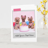 Yorkshire Terriers Yorkies Birthday Cake Funny