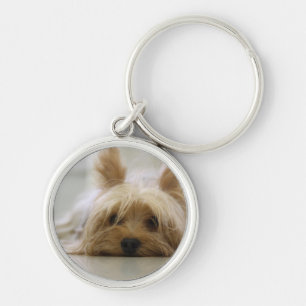 Yorkshire van de het huisdieren leuke hond van het sleutelhanger