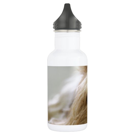 Yorkshire van de het huisdieren leuke hond van het waterfles  (Links)