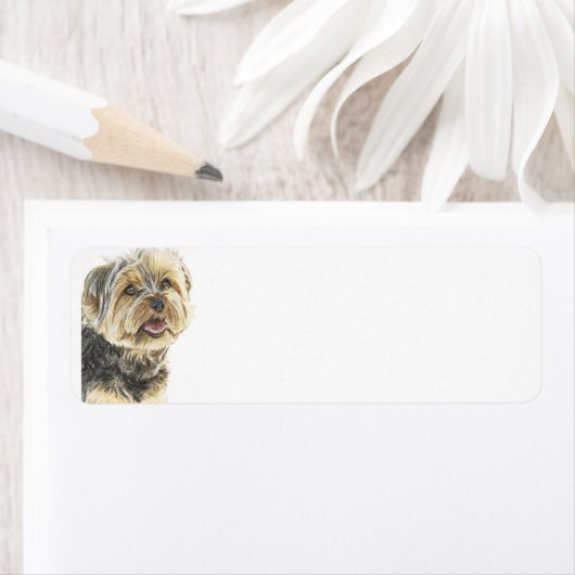 YorkshireTerrier.jpg Etiket (Insitu)