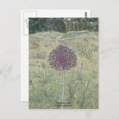 Yorktown Onion Briefkaart (Voorkant / Achterkant)