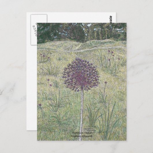 Yorktown Onion Briefkaart (Voorkant / Achterkant)