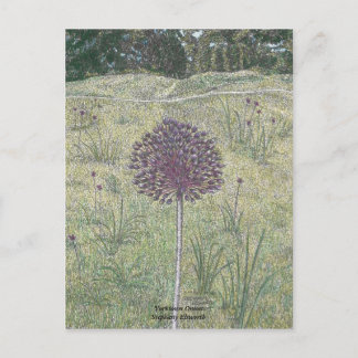 Yorktown Onion Briefkaart