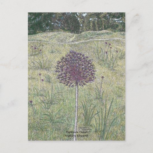 Yorktown Onion Briefkaart (Voorkant)