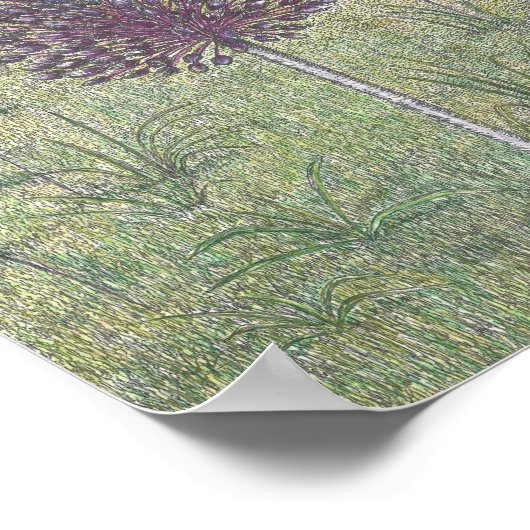 Yorktown Onion Poster (Hoek)