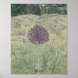 Yorktown Onion Poster