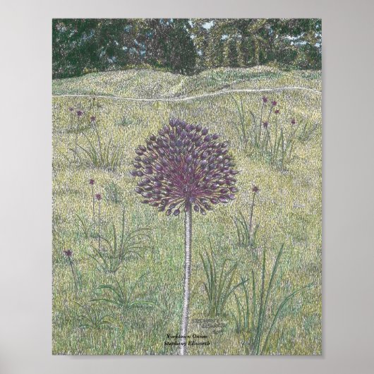 Yorktown Onion Poster (Voorkant)