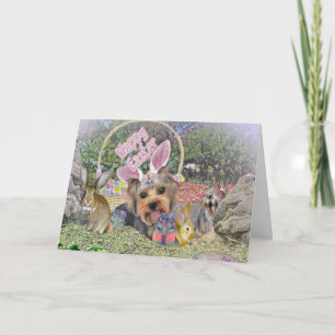 Yorshire Terrier Easter Cards Feestdagen Kaart