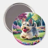 Yorshire Terrier Puppy Spelen in het Park Magneet (Voorkant / Achterkant)