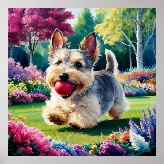 Yorshire Terrier Puppy Spelen in het Park Poster (Voorkant)