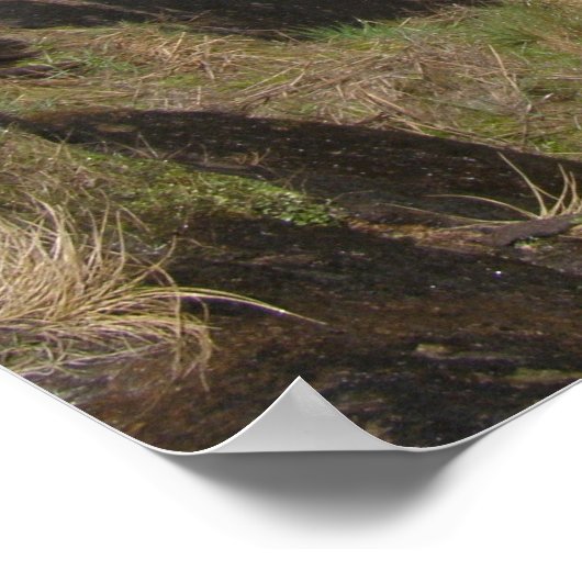 Yosemiet (water) poster (Hoek)