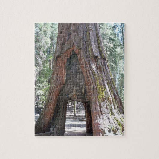 Yosemite Big Tree Puzzle Legpuzzel (Verticaal)