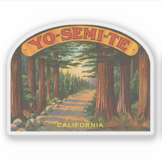 Yosemite Californië  bos scene Sticker (Voorkant)