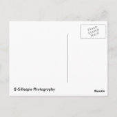 Yosemite Cascade Herfsten Briefkaart (Achterkant)