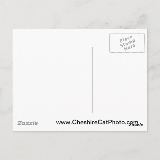 Yosemite Chapel (oktober) Producten voor Californi Briefkaart (Achterkant)