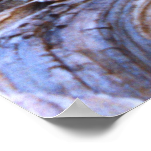 Yosemite Deer Poster (Hoek)