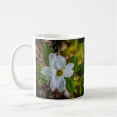 Yosemite Dogwood-Mok Koffiemok (Links)