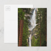 Yosemite Falls, Californië Briefkaart (Voorkant / Achterkant)