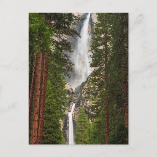 Yosemite Falls, Californië Briefkaart (Voorkant)