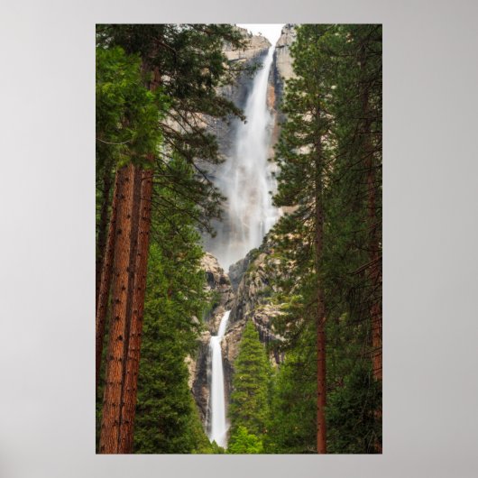 Yosemite Falls, Californië Poster (Voorkant)